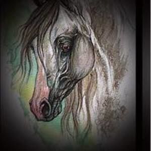 Meet your Posher, Diane